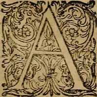 An illustration from Guilhelmi FabricI Hildani inclytae reipublicae Bernensis Helvet. medico-chirurgi ordinarii De gangraena et sphacelo, tractatus methodicus : in quo horum morborum differentiae, causae, signa, prognostica, ac denique methodica curatio continentur (1617)