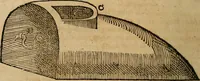 An illustration from Guilhelmi FabricI Hildani inclytae reipublicae Bernensis Helvet. medico-chirurgi ordinarii De gangraena et sphacelo, tractatus methodicus : in quo horum morborum differentiae, causae, signa, prognostica, ac denique methodica curatio continentur (1617)