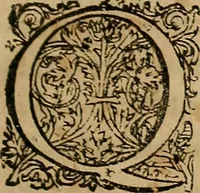 An illustration from Guilhelmi FabricI Hildani inclytae reipublicae Bernensis Helvet. medico-chirurgi ordinarii De gangraena et sphacelo, tractatus methodicus : in quo horum morborum differentiae, causae, signa, prognostica, ac denique methodica curatio continentur (1617)