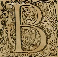 An illustration from Guilhelmi FabricI Hildani inclytae reipublicae Bernensis Helvet. medico-chirurgi ordinarii De gangraena et sphacelo, tractatus methodicus : in quo horum morborum differentiae, causae, signa, prognostica, ac denique methodica curatio continentur (1617)
