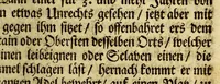An illustration from Guineische und West-indianische Reissbeschreibung, de An. 1639. biss 1645. von Ambsterdam nach St. Joris de Mina, ein Castell, in Africa, und nach Brasilien in America, (1669)