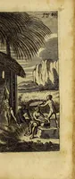 An illustration from Guineische und West-indianische Reissbeschreibung, de An. 1639. biss 1645. von Ambsterdam nach St. Joris de Mina, ein Castell, in Africa, und nach Brasilien in America, (1669)
