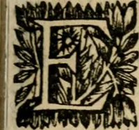 Picture 29 of 39 from Gulden-spiegel, ofte opwekkinge tot christelijke deugden : afgedeelt in twee deelen : waar in vertoond werd de schadelijkheyd der zonden, mitsgaders de goedigheyd en weldaaden Godts over den boetveerdigen, tot leeringe en stigtinge aller christenen toe-gepast : nog is hier by gevoegt Thamars ontschaking, of de verdoolde liefde van Ammon : als mede de vermaakelijke bruylofts-kroon : doorblogten met verscheyde leerzame gedigten, vermaakelijke bruylofts en aandagtige liedekens : voorgesteld op de vier geteyden van den dag (1763), leaf 250