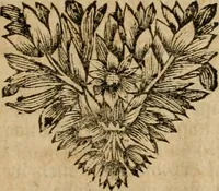 An illustration from Gulden-spiegel, ofte opwekkinge tot christelijke deugden : afgedeelt in twee deelen : waar in vertoond werd de schadelijkheyd der zonden, mitsgaders de goedigheyd en weldaaden Godts over den boetveerdigen, tot leeringe en stigtinge aller christenen toe-gepast : nog is hier by gevoegt Thamars ontschaking, of de verdoolde liefde van Ammon : als mede de vermaakelijke bruylofts-kroon : doorblogten met verscheyde leerzame gedigten, vermaakelijke bruylofts en aandagtige liedekens : voorgesteld op de vier geteyden van den dag (1763)