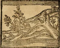 An illustration from Gulden-spiegel, ofte opwekkinge tot christelijke deugden : afgedeelt in twee deelen : waar in vertoond werd de schadelijkheyd der zonden, mitsgaders de goedigheyd en weldaaden Godts over den boetveerdigen, tot leeringe en stigtinge aller christenen toe-gepast : nog is hier by gevoegt Thamars ontschaking, of de verdoolde liefde van Ammon : als mede de vermaakelijke bruylofts-kroon : doorblogten met verscheyde leerzame gedigten, vermaakelijke bruylofts en aandagtige liedekens : voorgesteld op de vier geteyden van den dag (1763)
