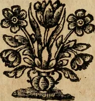 An illustration from Gulden-spiegel, ofte opwekkinge tot christelijke deugden : afgedeelt in twee deelen : waar in vertoond werd de schadelijkheyd der zonden, mitsgaders de goedigheyd en weldaaden Godts over den boetveerdigen, tot leeringe en stigtinge aller christenen toe-gepast : nog is hier by gevoegt Thamars ontschaking, of de verdoolde liefde van Ammon : als mede de vermaakelijke bruylofts-kroon : doorblogten met verscheyde leerzame gedigten, vermaakelijke bruylofts en aandagtige liedekens : voorgesteld op de vier geteyden van den dag (1763)