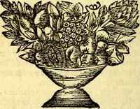 Picture 4 of 35 from Gulden-spiegel; ofte, Opweckinge tot christelijke deugden, afgebeeld in twee deelen ... Noch is hier by-gevoeght Thamars ontschaking; of, De verdoolde liefde van Ammon. Als mede de Vermaeckelijcke bruylofts-kroon ... gerijmt door Jacob Coenraeds Mayvogel (1699), leaf 10