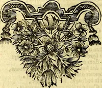 Picture 16 of 35 from Gulden-spiegel; ofte, Opweckinge tot christelijke deugden, afgebeeld in twee deelen ... Noch is hier by-gevoeght Thamars ontschaking; of, De verdoolde liefde van Ammon. Als mede de Vermaeckelijcke bruylofts-kroon ... gerijmt door Jacob Coenraeds Mayvogel (1699), leaf 146