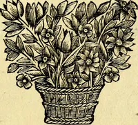 An illustration from Gulden-spiegel; ofte, Opweckinge tot christelijke deugden, afgebeeld in twee deelen ... Noch is hier by-gevoeght Thamars ontschaking; of, De verdoolde liefde van Ammon. Als mede de Vermaeckelijcke bruylofts-kroon ... gerijmt door Jacob Coenraeds Mayvogel (1699)