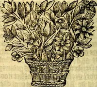 An illustration from Gulden-spiegel; ofte, Opweckinge tot christelijke deugden, afgebeeld in twee deelen ... Noch is hier by-gevoeght Thamars ontschaking; of, De verdoolde liefde van Ammon. Als mede de Vermaeckelijcke bruylofts-kroon ... gerijmt door Jacob Coenraeds Mayvogel (1699)