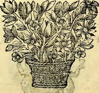 An illustration from Gulden-spiegel; ofte, Opweckinge tot christelijke deugden, afgebeeld in twee deelen ... Noch is hier by-gevoeght Thamars ontschaking; of, De verdoolde liefde van Ammon. Als mede de Vermaeckelijcke bruylofts-kroon ... gerijmt door Jacob Coenraeds Mayvogel (1699)
