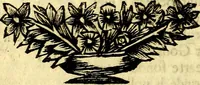 An illustration from Gulden-spiegel; ofte, Opweckinge tot christelijke deugden, afgebeeld in twee deelen ... Noch is hier by-gevoeght Thamars ontschaking; of, De verdoolde liefde van Ammon. Als mede de Vermaeckelijcke bruylofts-kroon ... gerijmt door Jacob Coenraeds Mayvogel (1699)