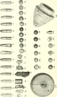 An illustration from Gunshot Roentgenograms : Acollection of Roentgenograms taken in Constantinople during the Turko-Balkan War, 1912-1913, illustrating some gunshot wounds in the Turkish Army (1916)