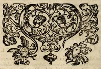 An illustration from Gustavi Seleni Cryptomenytices et cryptographiae libri IX : in quibus & planissima Steganographiae a Johanne Trithemio, abbate Spanheymensi & Herbipolensi, admirandi ingenij viro, magice & aenigmatice olim conscriptae, enodatio traditur : inspersis ubique authoris ac aliorum, non contemnendis inventis (1624)