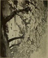 An illustration from Guter und schlechter Geschmack im Kunstgewerbe (1912)