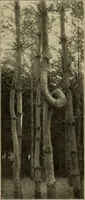 An illustration from Guter und schlechter Geschmack im Kunstgewerbe (1912)