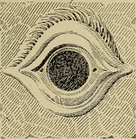 An illustration from Guter und schlechter Geschmack im Kunstgewerbe (1912)