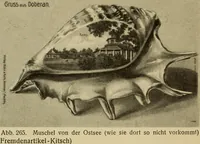 Picture 273 of 276 from Guter und schlechter Geschmack im Kunstgewerbe (1912), leaf 406