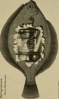 Picture 275 of 276 from Guter und schlechter Geschmack im Kunstgewerbe (1912), leaf 406