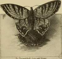 An illustration from Guter und schlechter Geschmack im Kunstgewerbe (1912)
