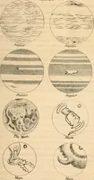 An illustration from Guy's Elements of astronomy : and an abridgment of Keith's New treastise on the use of the globes (1864)