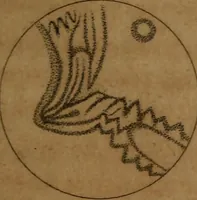 An illustration from Guy's elements of astronomy, and an abridgement of Keith's New treatise on the use of the globes (1832)