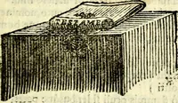 Picture 52 of 117 from Gvilielmi HesI antverpiensis è Societate Iesv Emblemata sacra de fide, spe, charitate (1636), leaf 176