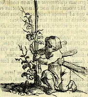Picture 86 of 117 from Gvilielmi HesI antverpiensis è Societate Iesv Emblemata sacra de fide, spe, charitate (1636), leaf 298