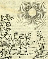 Picture 87 of 117 from Gvilielmi HesI antverpiensis è Societate Iesv Emblemata sacra de fide, spe, charitate (1636), leaf 302