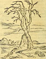 An illustration from Gvilielmi HesI antverpiensis è Societate Iesv Emblemata sacra de fide, spe, charitate (1636)
