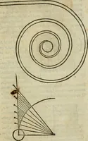 Picture 13 of 63 from Gvlielmi Philandri Castilionii Galli civis Ro. In decem libros M. Vitruuii Pollionis de architectura annotationes : cum indicibus graeco & latino locupletissimis (1544), leaf 102