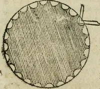 An illustration from Gvlielmi Philandri Castilionii Galli civis Ro. In decem libros M. Vitruuii Pollionis de architectura annotationes : cum indicibus graeco & latino locupletissimis (1544)