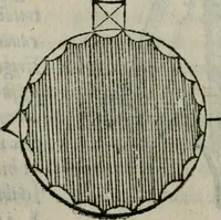 An illustration from Gvlielmi Philandri Castilionii Galli civis Ro. In decem libros M. Vitruuii Pollionis de architectura annotationes : cum indicibus graeco & latino locupletissimis (1544)