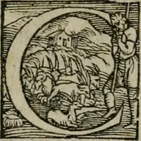 An illustration from Gvlielmi Philandri Castilionii Galli civis Ro. In decem libros M. Vitruuii Pollionis de architectura annotationes : cum indicibus graeco & latino locupletissimis (1544)