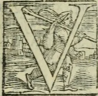 Picture 57 of 63 from Gvlielmi Philandri Castilionii Galli civis Ro. In decem libros M. Vitruuii Pollionis de architectura annotationes : cum indicibus graeco & latino locupletissimis (1544), leaf 352
