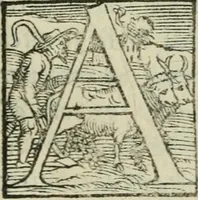 An illustration from Gvlielmi Philandri Castilionii Galli civis Ro. In decem libros M. Vitruuii Pollionis de architectura annotationes : cum indicibus graeco & latino locupletissimis (1544)
