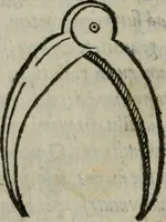 An illustration from Gvlielmi Philandri Castilionii Galli civis Ro. In decem libros M. Vitruuii Pollionis de architectura annotationes : cum indicibus graeco & latino locupletissimis (1544)