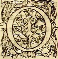 Picture 55 of 837 from Gvlielmi Rondeletii ... Libri de piscibus marinis, in quibus veræ piscium effigies expressæ sunt .. (1554), leaf 102