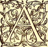 An illustration from Gvlielmi Rondeletii ... Libri de piscibus marinis, in quibus veræ piscium effigies expressæ sunt .. (1554)