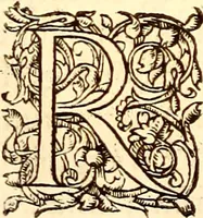Picture 59 of 837 from Gvlielmi Rondeletii ... Libri de piscibus marinis, in quibus veræ piscium effigies expressæ sunt .. (1554), leaf 115