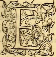 An illustration from Gvlielmi Rondeletii ... Libri de piscibus marinis, in quibus veræ piscium effigies expressæ sunt .. (1554)
