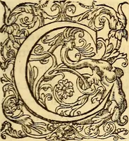 An illustration from Gvlielmi Rondeletii ... Libri de piscibus marinis, in quibus veræ piscium effigies expressæ sunt .. (1554)