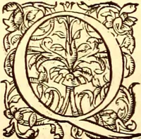 Picture 69 of 837 from Gvlielmi Rondeletii ... Libri de piscibus marinis, in quibus veræ piscium effigies expressæ sunt .. (1554), leaf 139