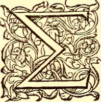Picture 71 of 837 from Gvlielmi Rondeletii ... Libri de piscibus marinis, in quibus veræ piscium effigies expressæ sunt .. (1554), leaf 141