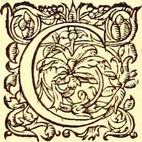 An illustration from Gvlielmi Rondeletii ... Libri de piscibus marinis, in quibus veræ piscium effigies expressæ sunt .. (1554)