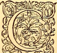 Picture 77 of 837 from Gvlielmi Rondeletii ... Libri de piscibus marinis, in quibus veræ piscium effigies expressæ sunt .. (1554), leaf 147