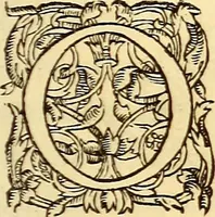An illustration from Gvlielmi Rondeletii ... Libri de piscibus marinis, in quibus veræ piscium effigies expressæ sunt .. (1554)