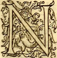 Picture 85 of 837 from Gvlielmi Rondeletii ... Libri de piscibus marinis, in quibus veræ piscium effigies expressæ sunt .. (1554), leaf 156