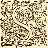 Picture 87 of 837 from Gvlielmi Rondeletii ... Libri de piscibus marinis, in quibus veræ piscium effigies expressæ sunt .. (1554), leaf 159