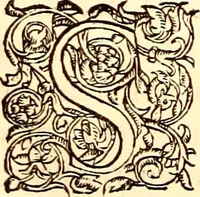An illustration from Gvlielmi Rondeletii ... Libri de piscibus marinis, in quibus veræ piscium effigies expressæ sunt .. (1554)